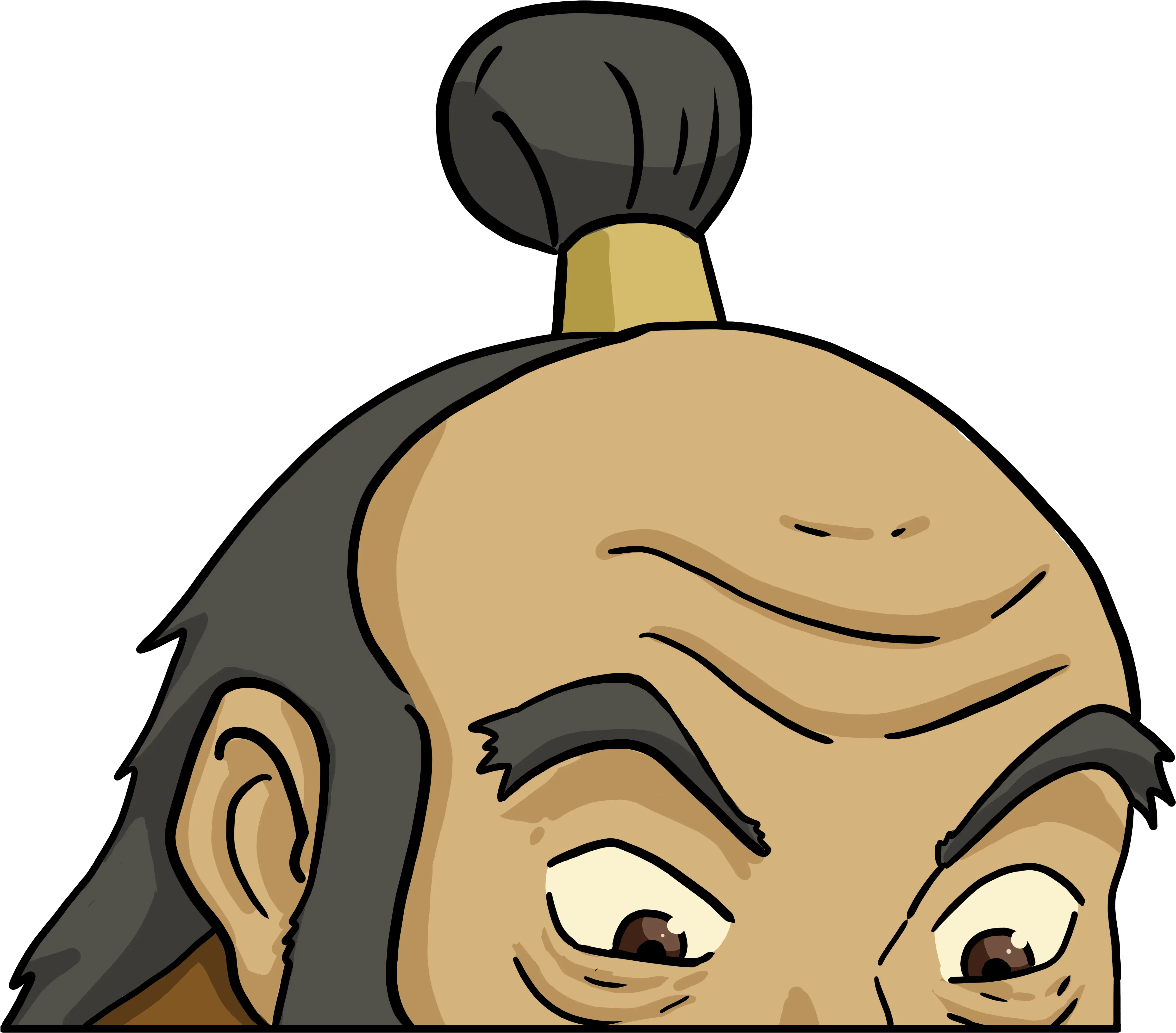 Avatar The Last Airbender Fire Nation Hairstyles Avatar Last Airbender Hair Styles Png Aang Png
