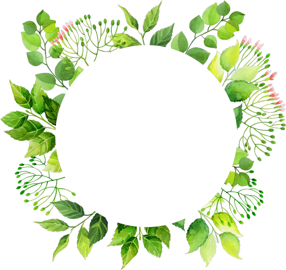 This Graphics Is Green Circle Frame Png Transparent Green Flower Frame Circle Green Png Circle Frame Png png