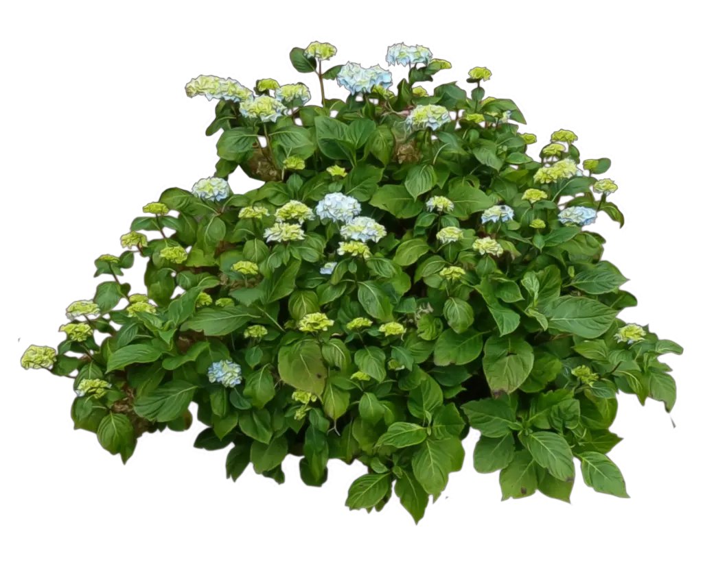 Bushes Png Images Free Download Bush Transparent Background Garden Plants Png Hanging Plants Png