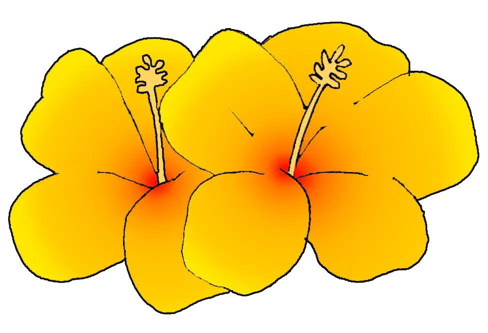 Download Hd Free Flower Clipart Hawaii State Flower Clip Hawaii State Flower Clipart Png Flower Clip Art Png png