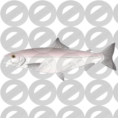 Salmon Stencil For Classroom Therapy Use Great Salmon Png Salmon Icon