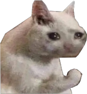 Free Png Images Sad Cat Discord Emoji Sad Cat Png