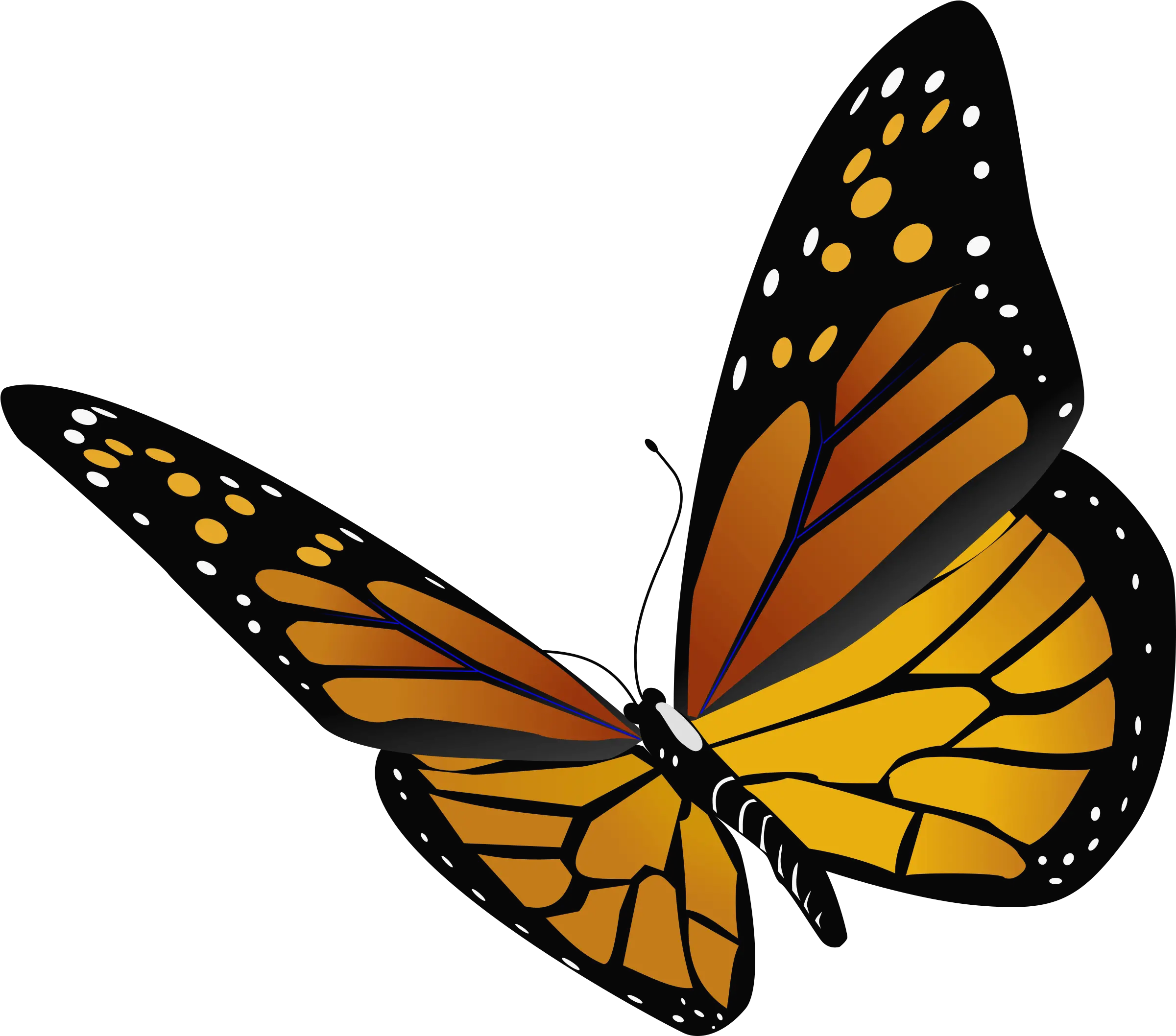 Butterfly Outline Monarch Butterfly Transparent Background Transparent Background Butterfly Transparent Png Butterfly Outline Png png