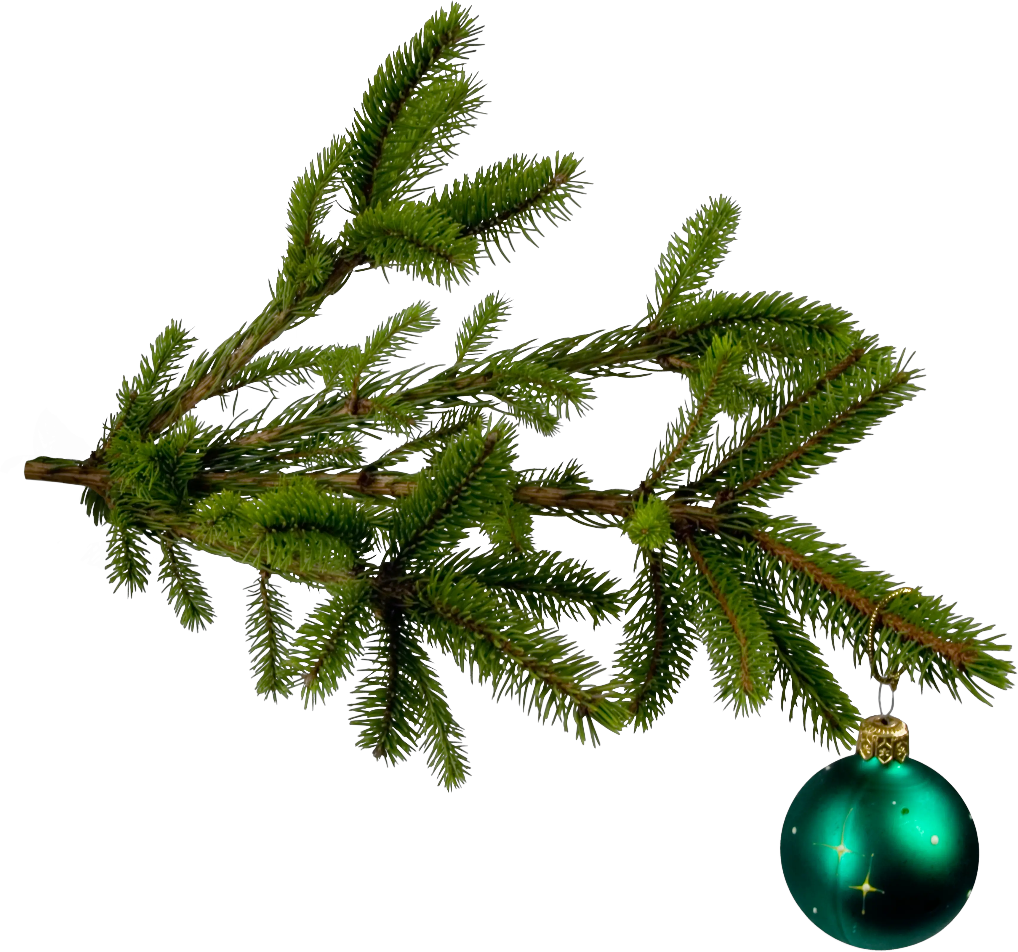 Pot Leaf No Background Transparent Background Cannabis Transparent Background Cannabis Leaf Clipart Png Plant Transparent Background png