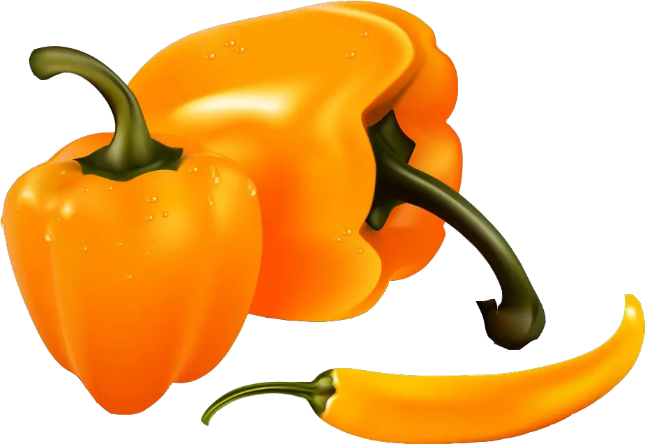 Bell Banana Clip Art Persimmon Vector Bell Pepper Vector Transparent Png Bell Pepper Png