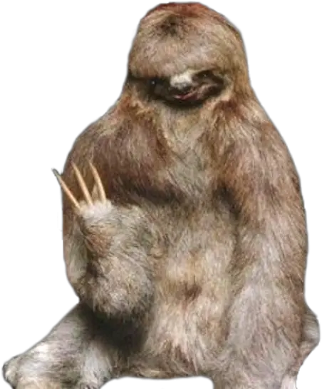 Sloth Png 22 Photo 7202 Transparent Image For Free Funny Sloth Family Sloth Png