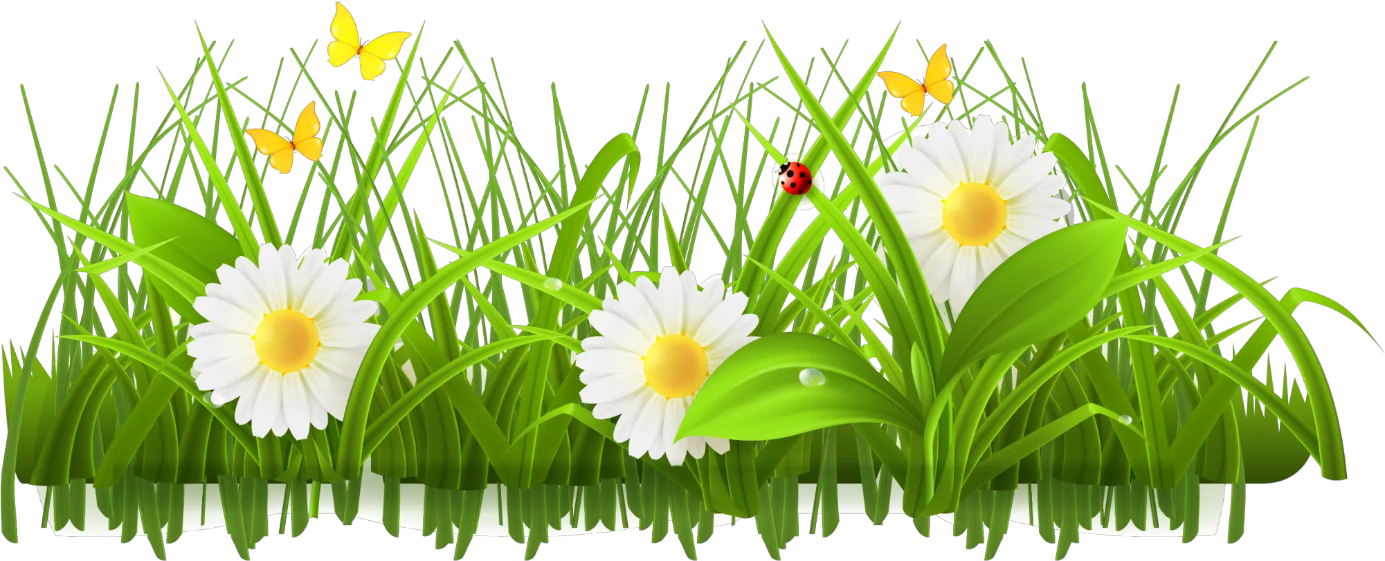 Download Flower Meadow Clipart Green Flowers Clip Art Png Ladybug In Grass Cartoon Flowers Clip Art Png