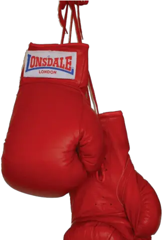 Box Glove Old Boxing Gloves Png Boxing Glove Png