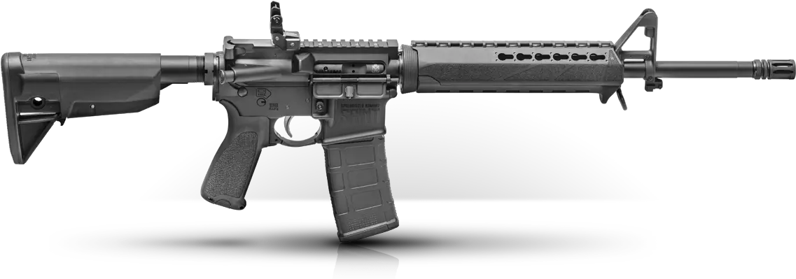 Gun Violence An Economic Problem With Solution Springfield Saint Png Gunshot Effect Png