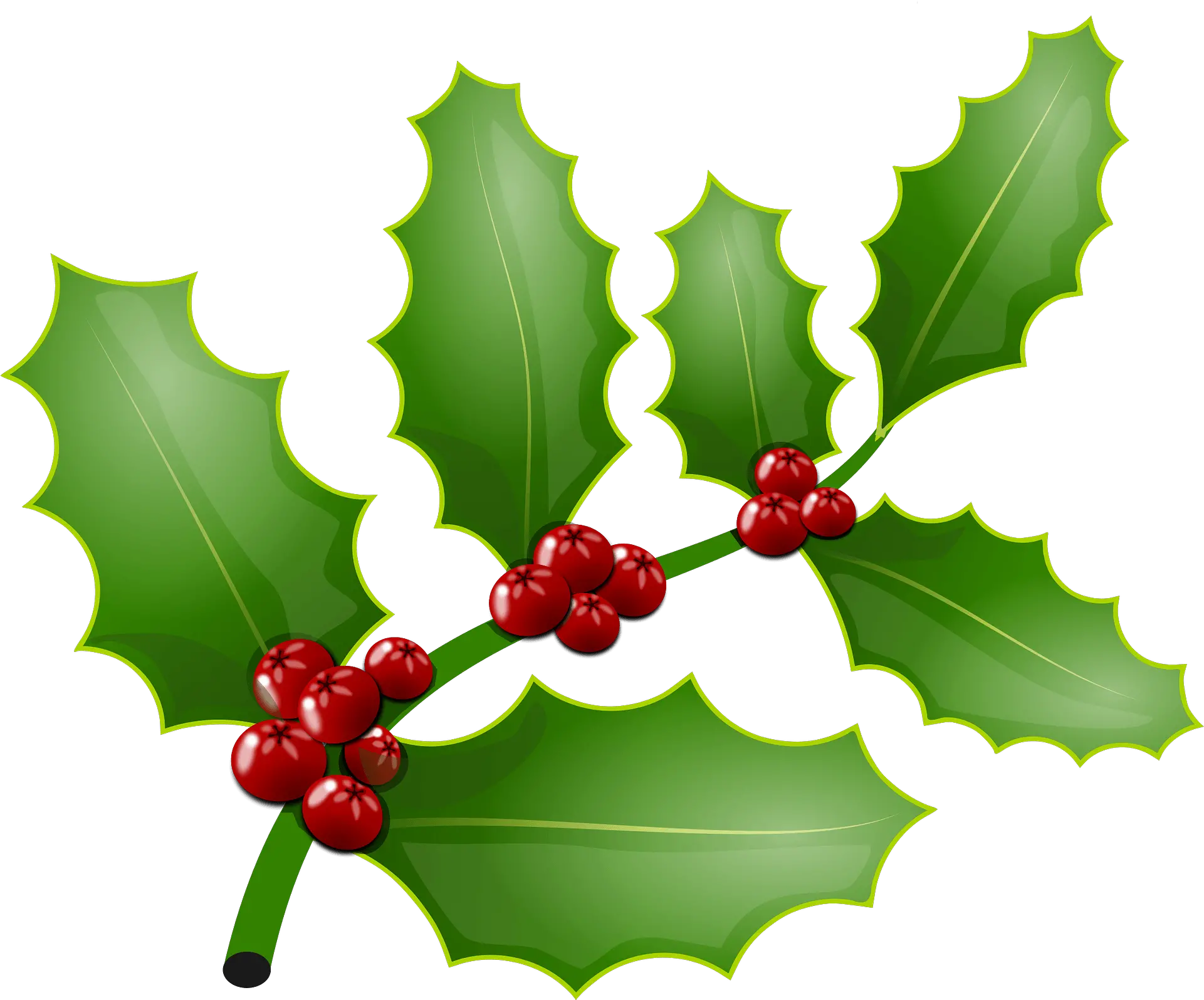 Holly Branch With Berries Clipart Free Download Transparent Holly Branch Clip Art Png Holly Leaves Png