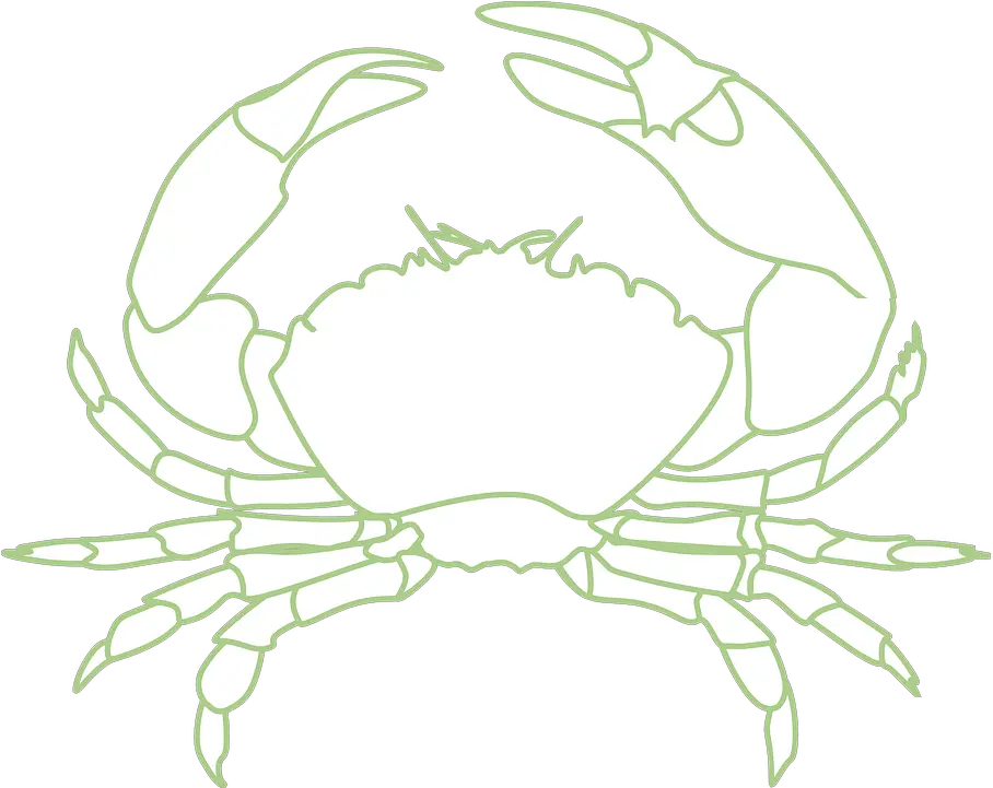 Crab Crustacean Sea Life Free Vector Graphic On Pixabay Kepiting Vektor Png Crawfish Png