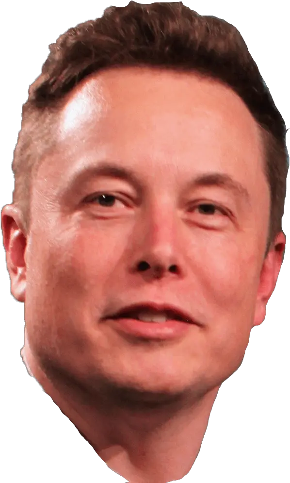 Business Success Transparent Png Image Elon Musk Face Transparent Elon Musk Png