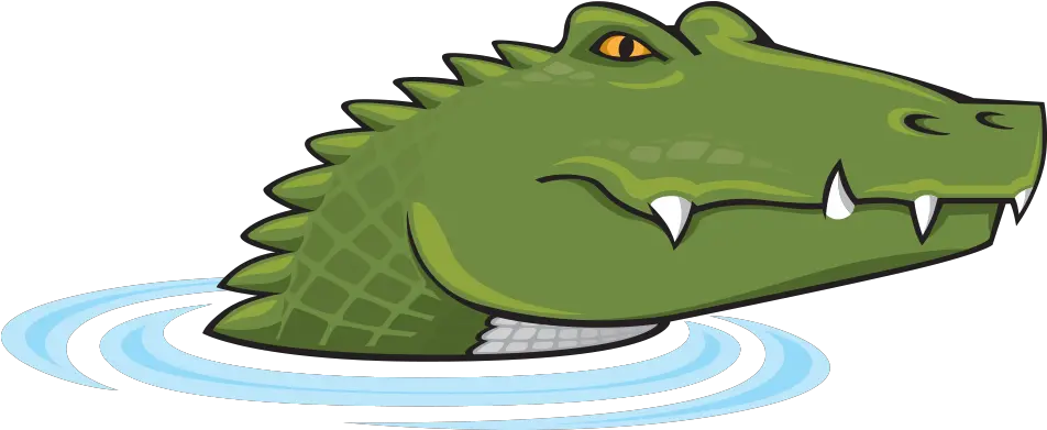 Download Alligator Charlotte Nc Picture Cartoon Crocodile No Background Png Alligator Transparent Background