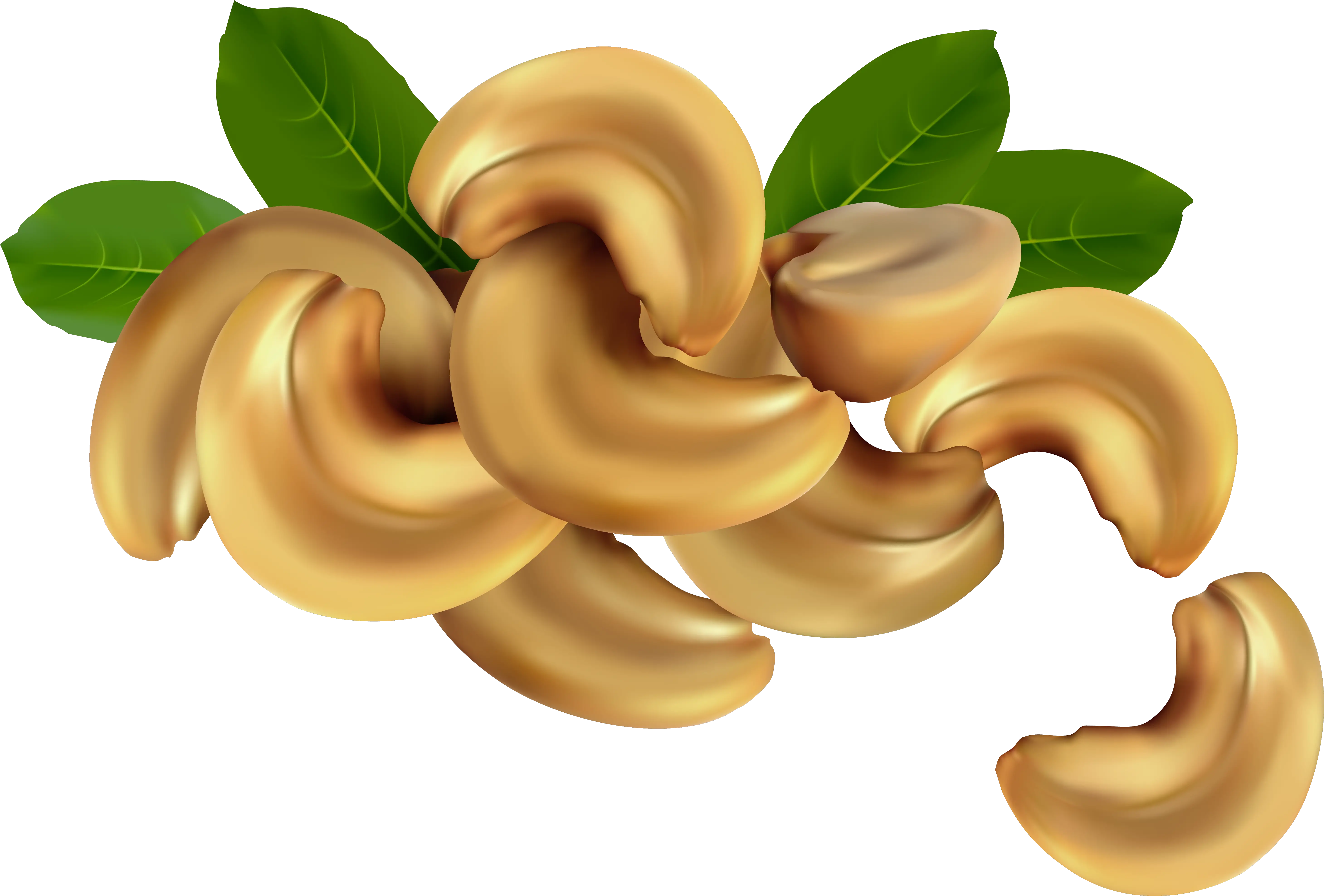Cashew Cliparts Download Free Clip Art Cashwe Nut Drawing Png Cashew Png