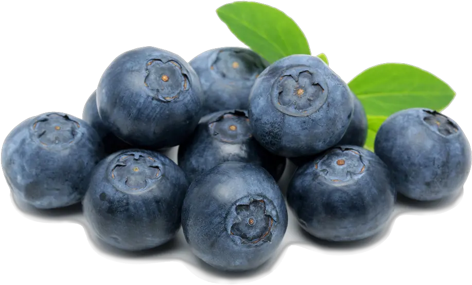 Spooner Farms Inc Blueberries Clip Art Png Berry Png
