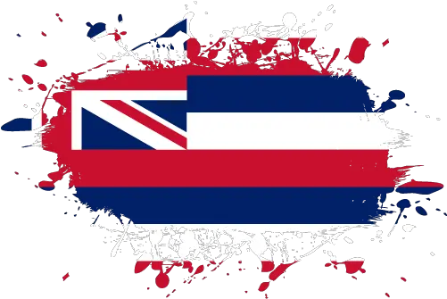 Vector Country Flag Of Hawaii Ink Splat Vector World Flags Vector Pakistan Flag Png Splat Transparent