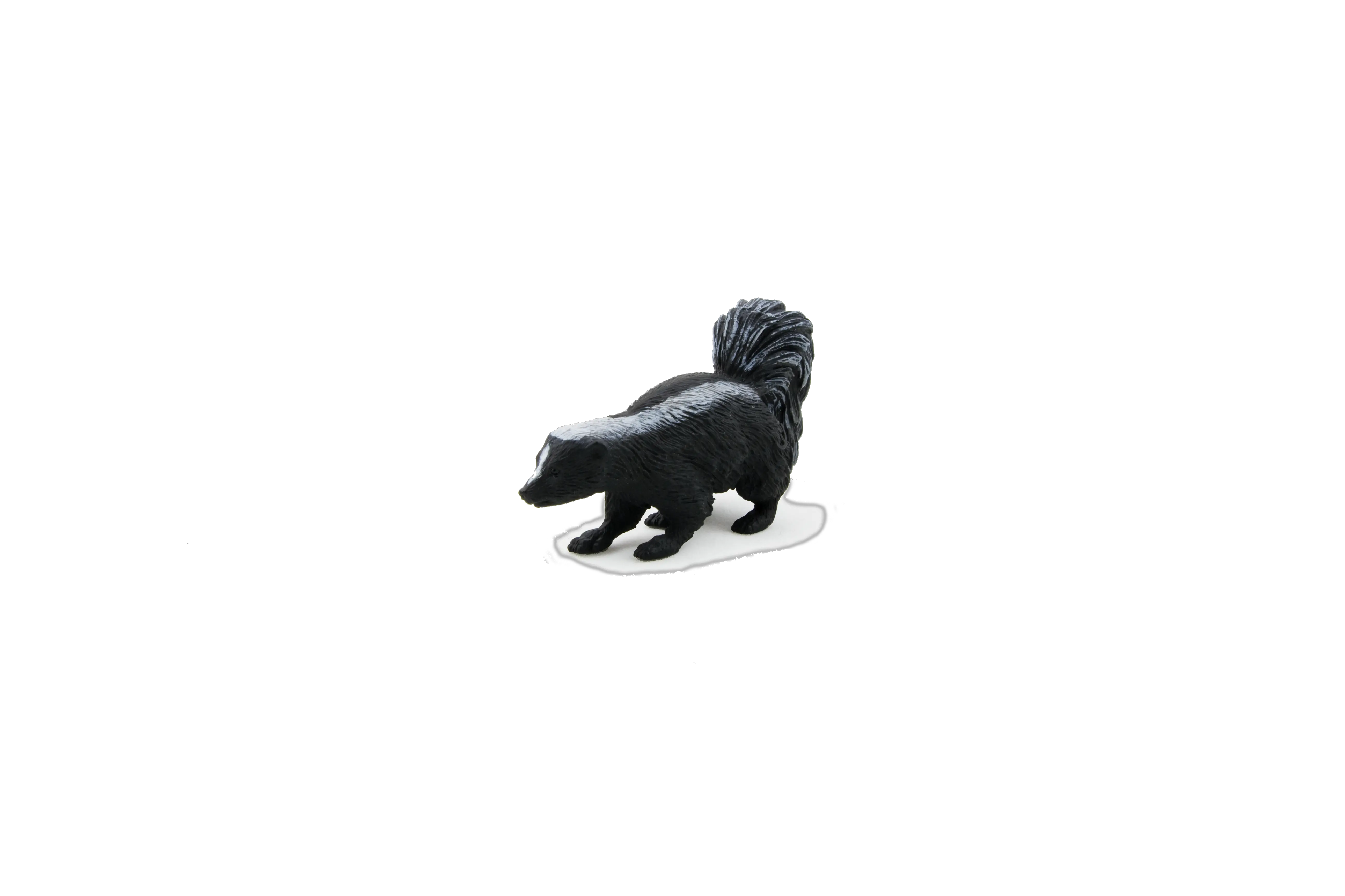 Skunk The Ddz Store Your One Stop Shop For Toys Companion Dog Png Skunk Transparent