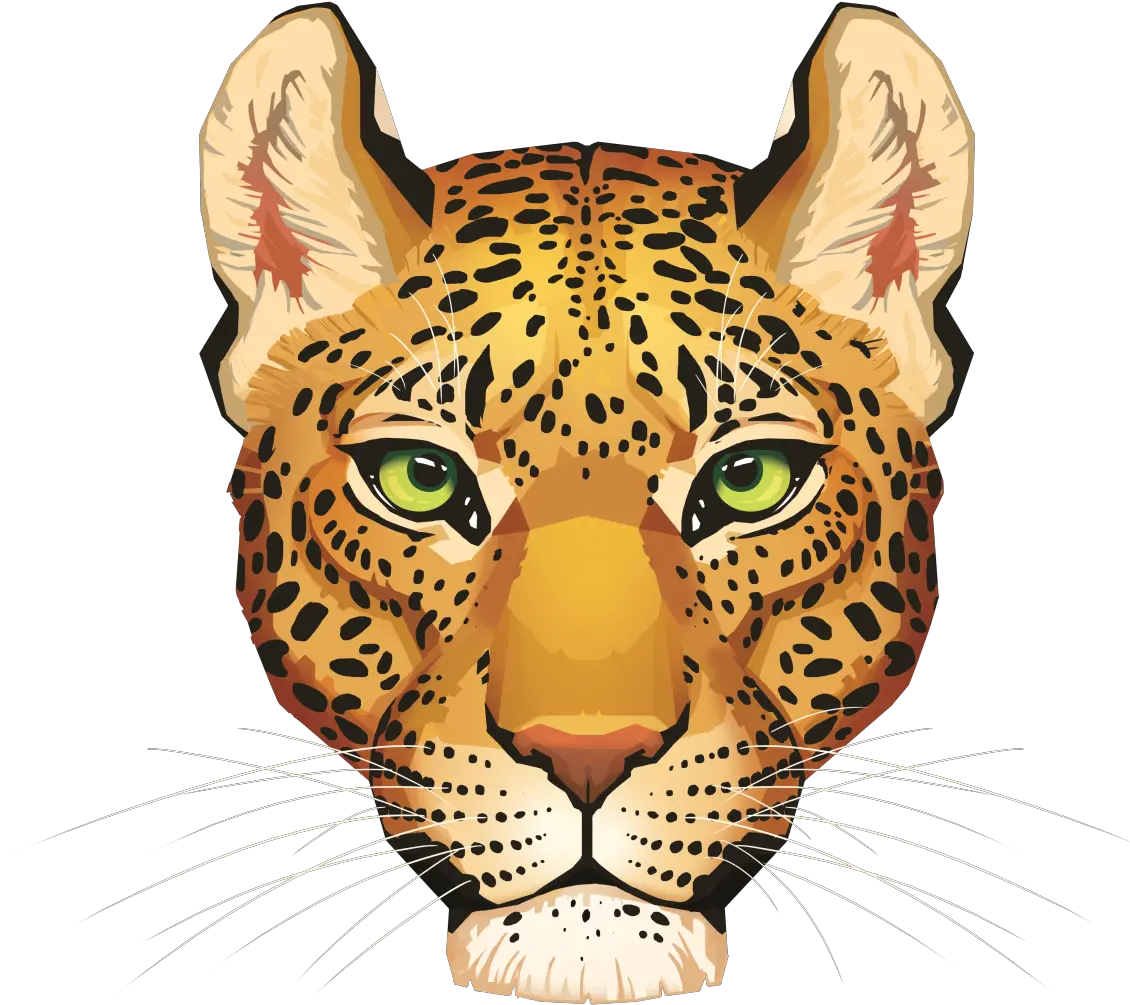 Leopard Png Images Face Museum Tsunami Aceh Tiger Head Png