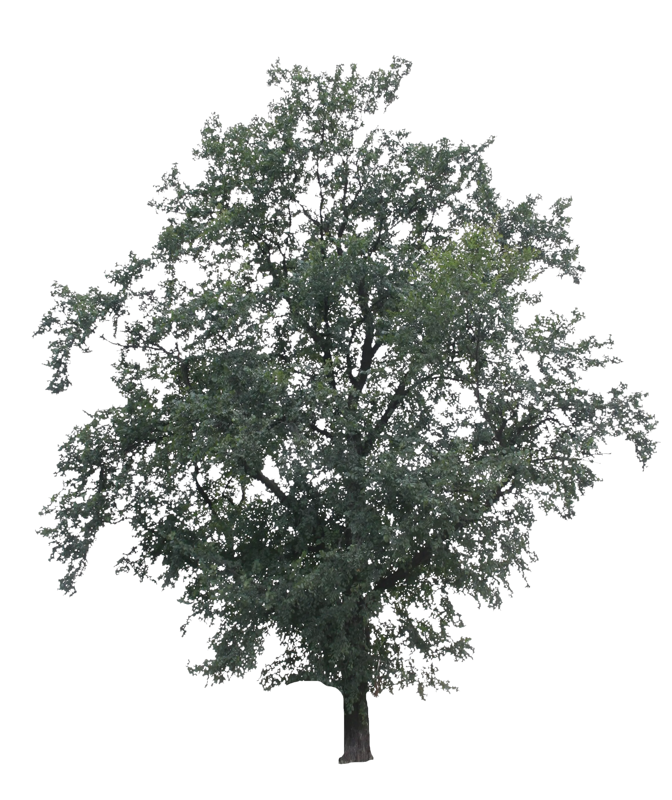 Download Hd Itp Tornado Transparent Png Image Nicepngcom Itp Tornado Tornado Png