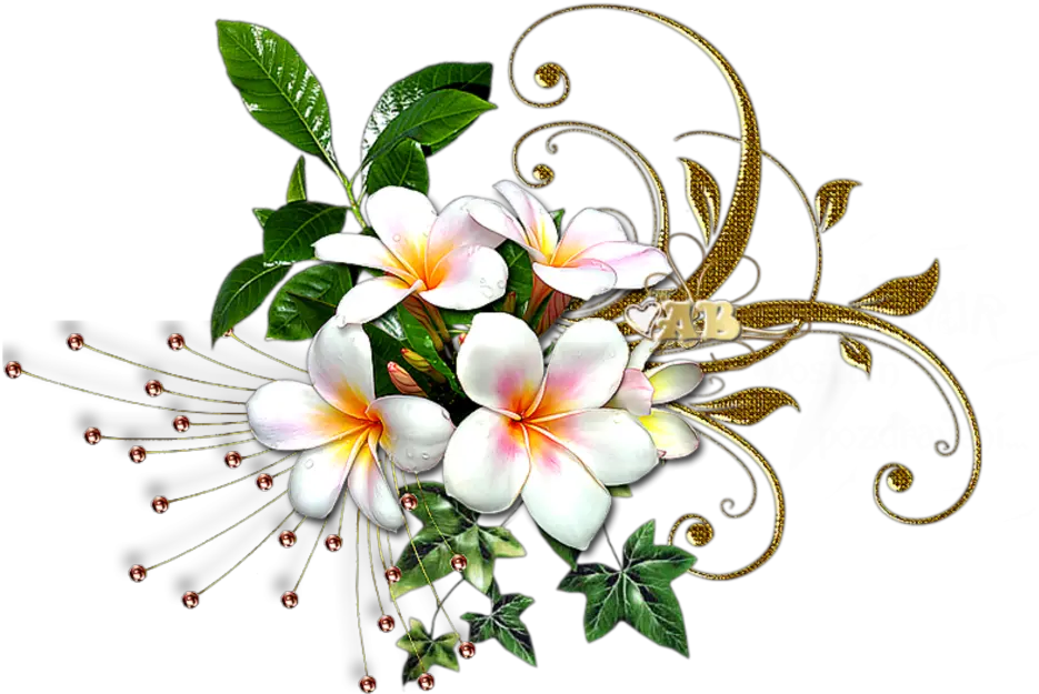 Mq White Gold Flowers Flower Garden Rosa Glauca White And Gold Flowers Png Flower Garden Png png