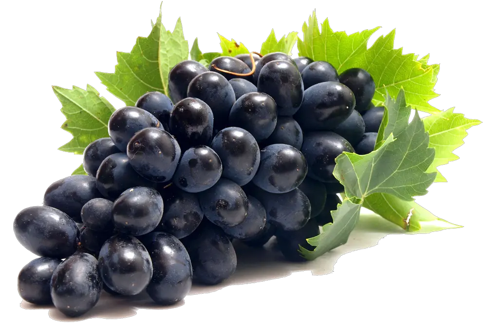 Grapes Fruits Png Transparent Images Clipart Icons Grape Grape Png Fruits Png
