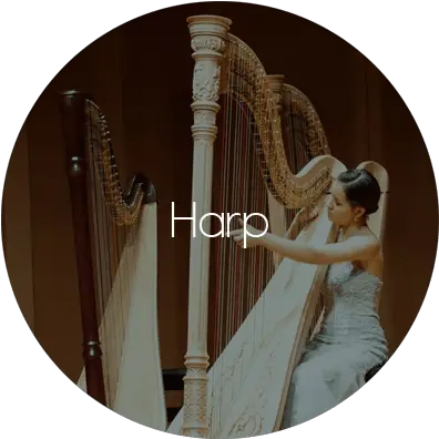 Services U2013 Eventos Musicaispro Classical Music Png Harp Png