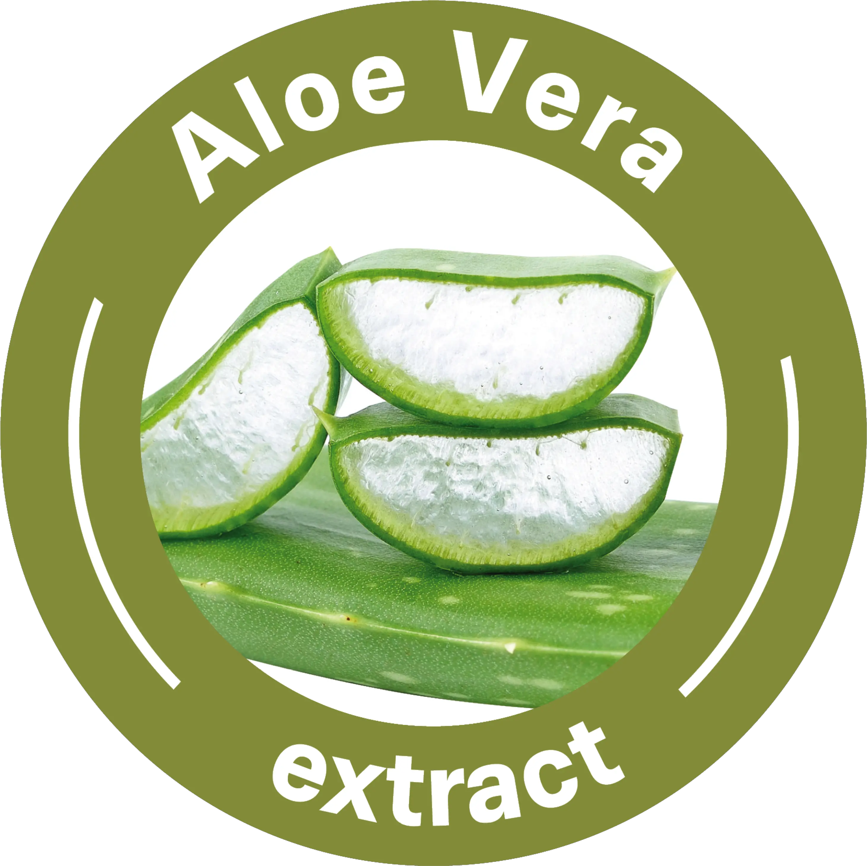 Download Aloe Vera Textile Aloe Vera Extract Icon Png Oundle Town Fc Vera Icon