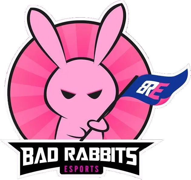 Pubg Vietnam Series Winter 2020 Girly Png Dva Player Icon