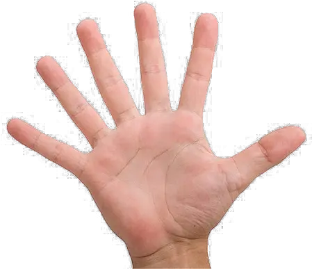 Fingers Png Image File