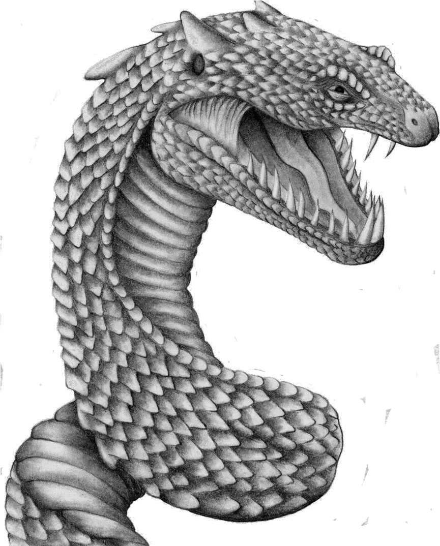 White Snake Png Basilisk Snake Png Download Image Harry Magical Creatures Harry Potter Drawings Newt Scamander Icon