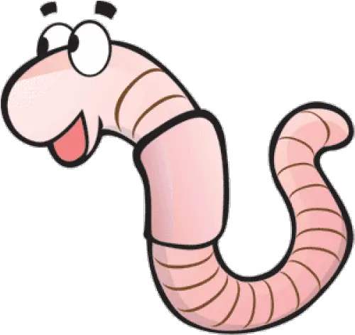 1lb Red Wiggler Worms Red Wiggler Worm Cartoon Png Worms Png