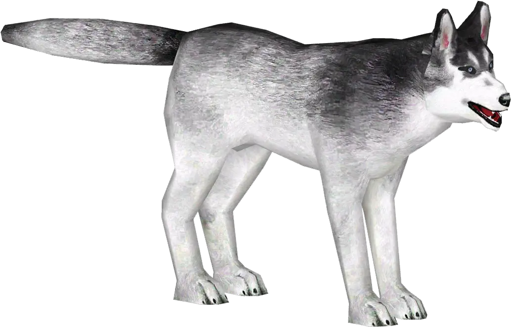 Siberian Husky Slice Zt2 Download Library Wiki Fandom Cat Yawns Png Husky Transparent