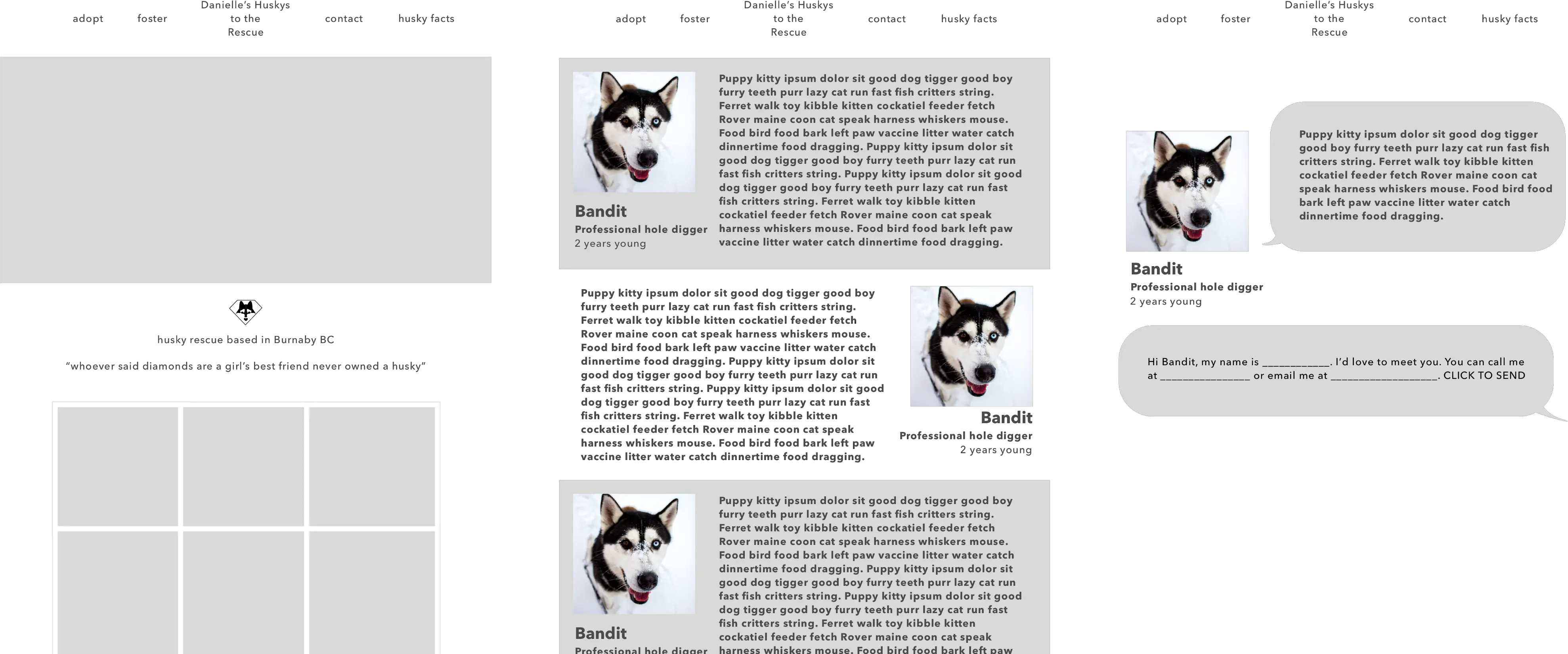 Case Study Huskys To The Rescue By Corina Sirbulescu Miniature Siberian Husky Png Husky Transparent Background