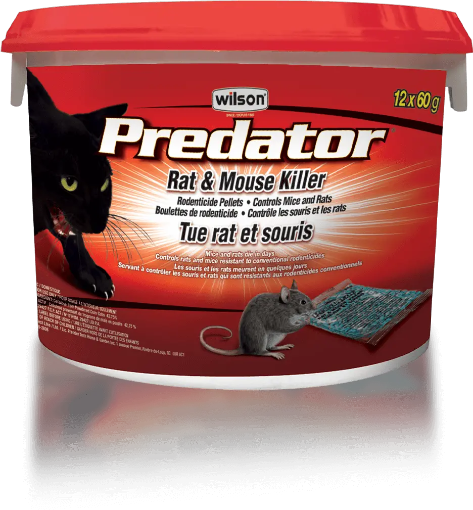 Download Wilson Predator Rat Mouse Killer Pellets Rat Png Rat Rats Png