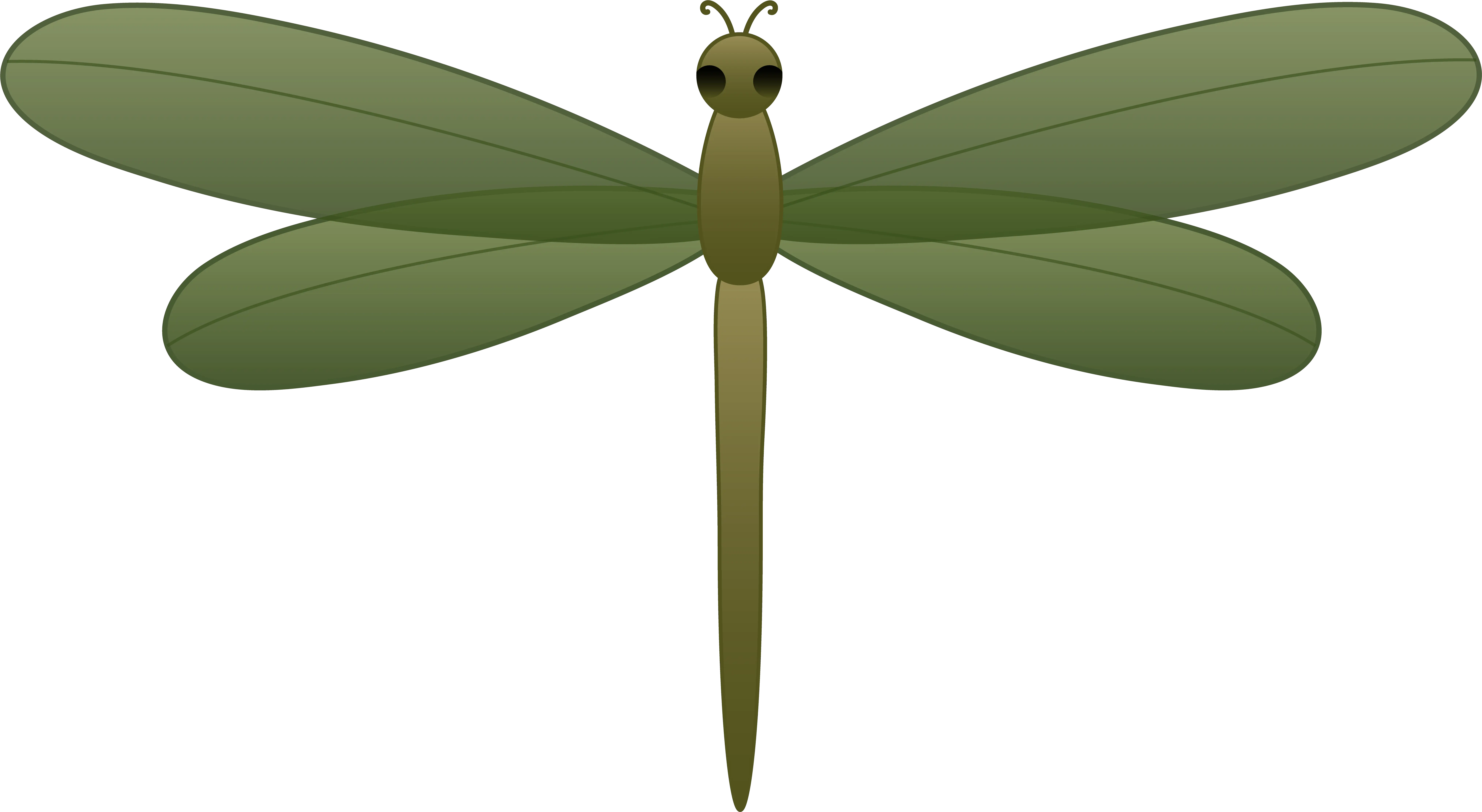 Dragon Border Png Dragon Border New Tattoo Dragonfly Green Dragon Fly Cartoon Dragonfly Png