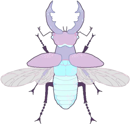 Jpg Freeuse Download Bugs Drawing Rhinoceros Beetle Png Transparent Bug