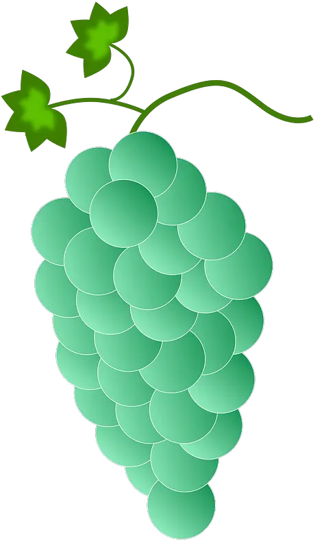 Green Grapes Clipart Free Download Transparent Png Creazilla Pink Grapes Vector Png Grape Png