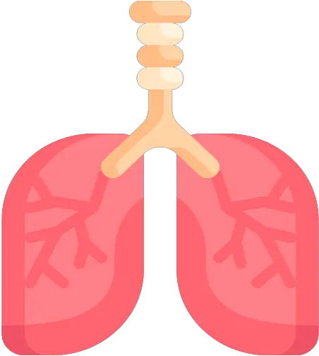 Access Health Care Physicians Llc Home Call 3526888116 Heart Png Sort The Data So Cells With The Red Down Arrow Icon