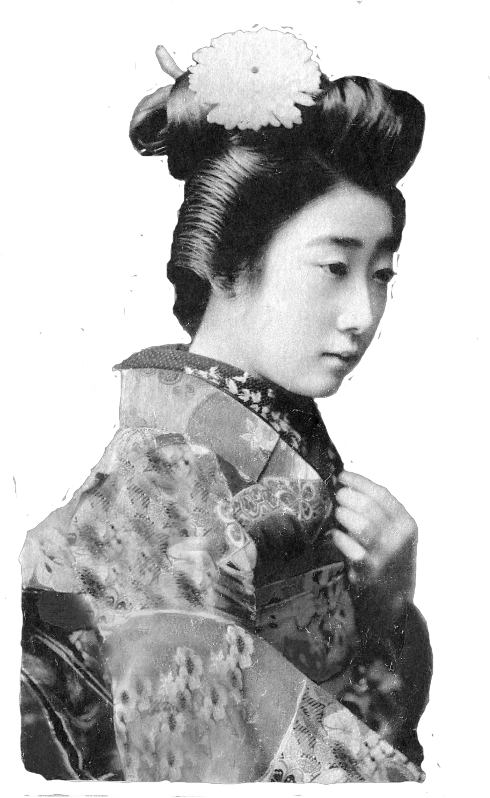 Download Free Asian Women Image Icon Favicon Vintage Japanese Geisha Photographs Png Asian Icon