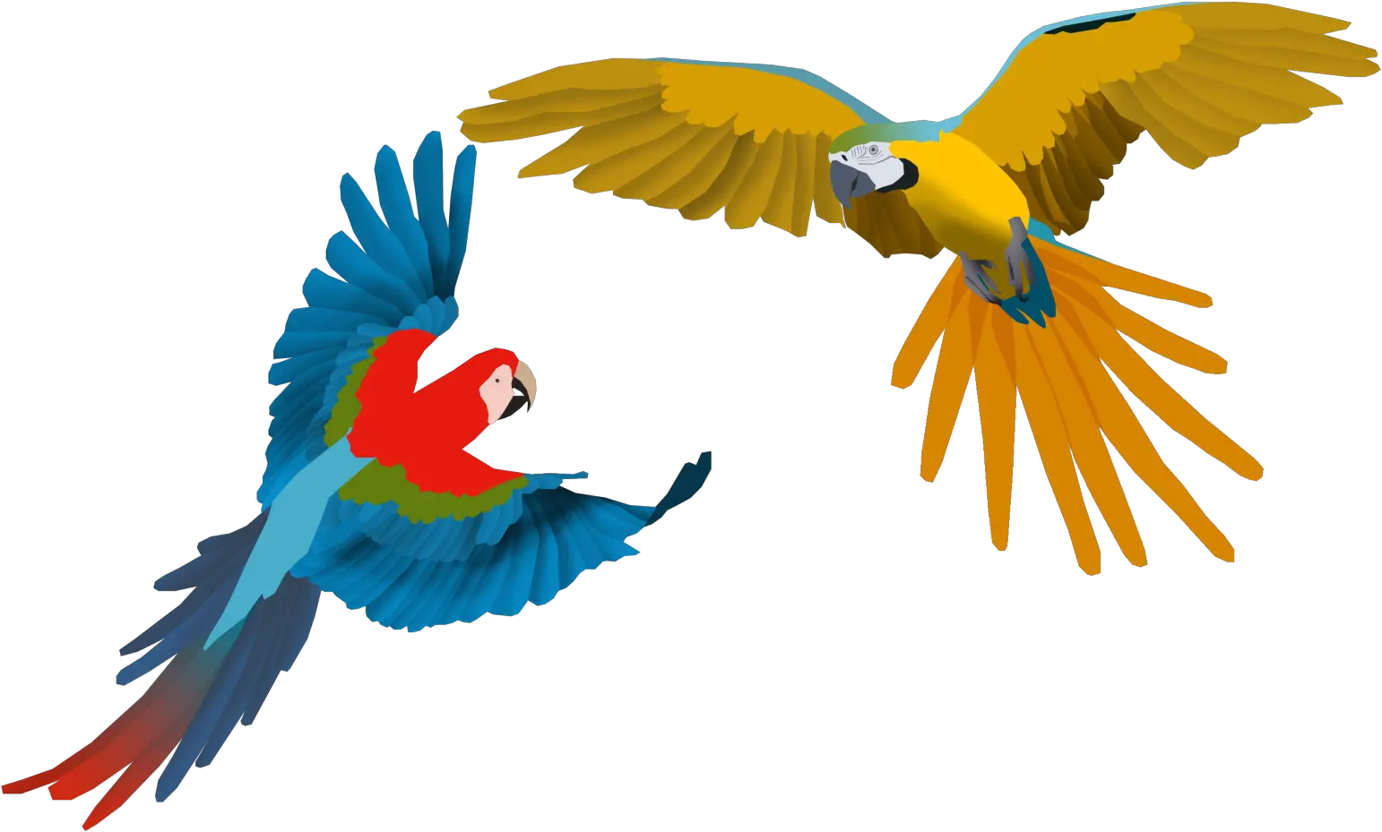 Macaw Clipart Flying Png Download Full Size Clipart Macaw Flying Goffin Cockatoo Cartoon Clipart Icon