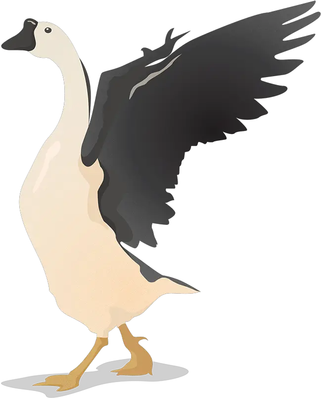 Download Flat Vector Birds Transparent Geese Illustration Png Goose Png