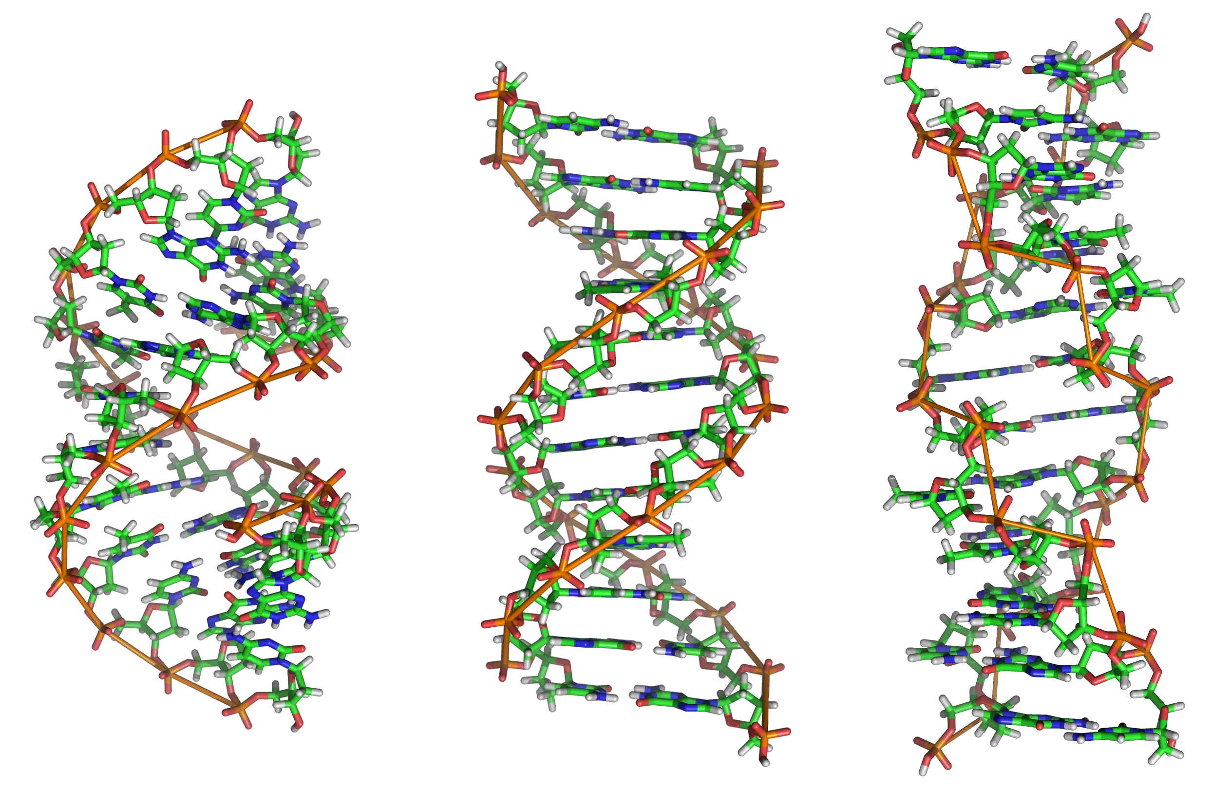 Deaf Couple May Edit Embryou0027s Dna To Correct Hearing Dna Molecules Png Dna Png