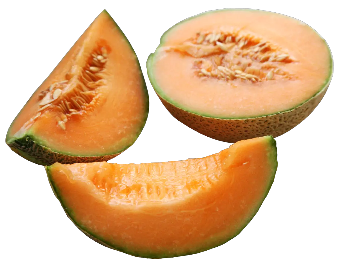 Melon Png Image Cantaloupe Slice Transparent Background Melon Png