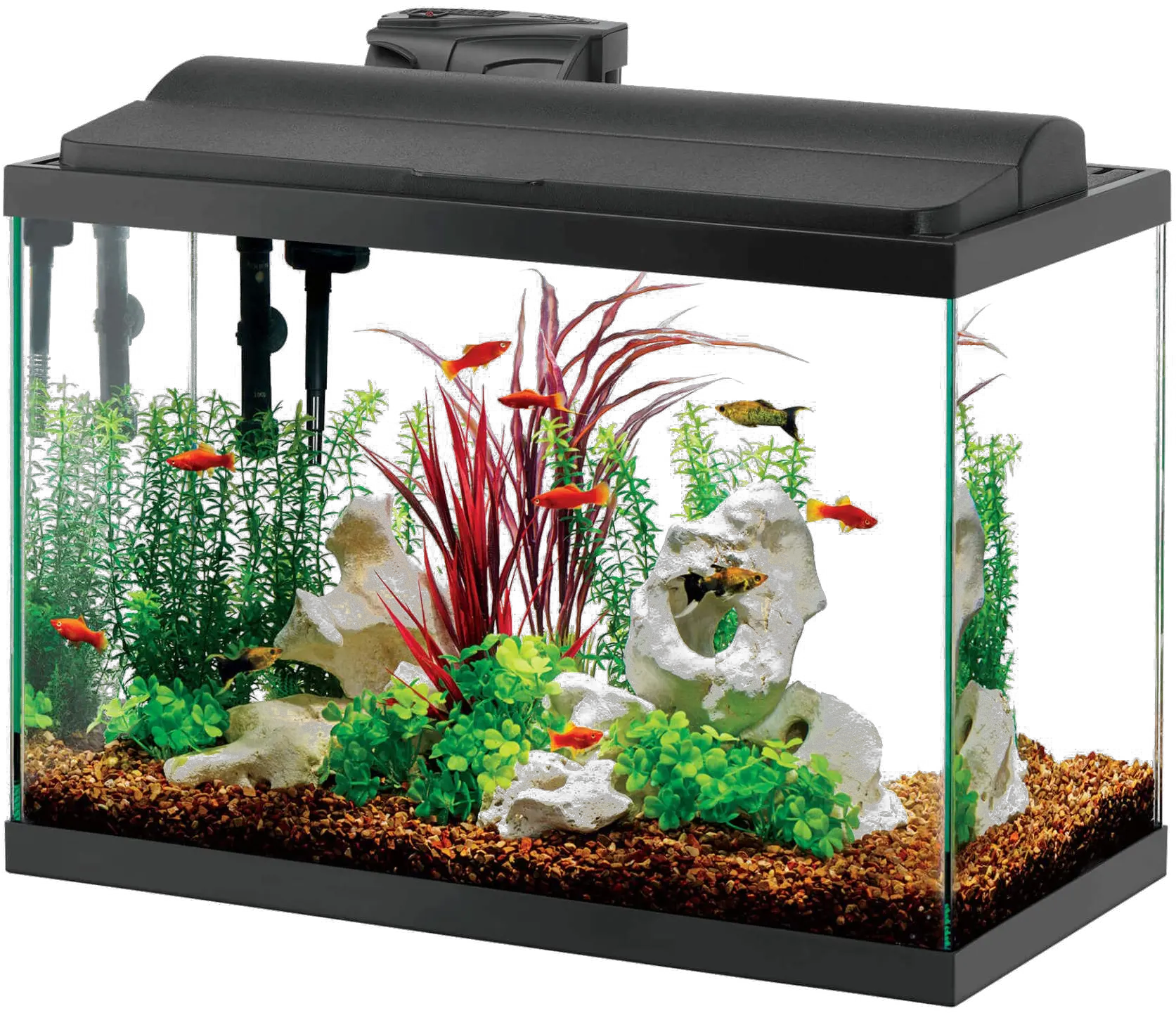 Aquarium Fish Tank Png All Rectangular Aquarium Fish Png Transparent