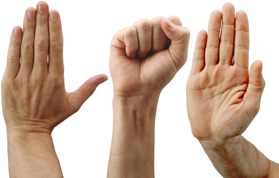 Hands Palm Fingers Png Hand