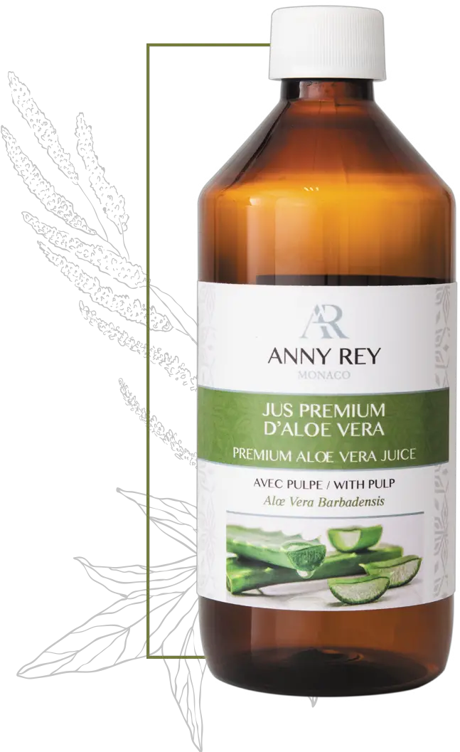 Aloe Vera U2013 Dlgworld Jus D Aloe Vera Anny Rey Png Aloe Vera Png