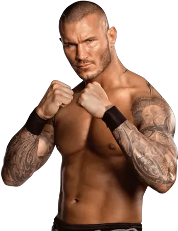 Randy Orton Universe Of Smash Bros Lawl Wiki Fandom Randy Orton Full Body Png Randy Orton Png