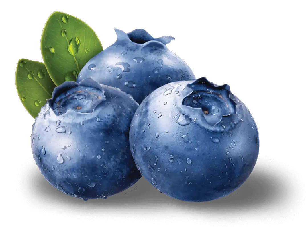 Png Background Blueberries Png Blueberry Transparent Background