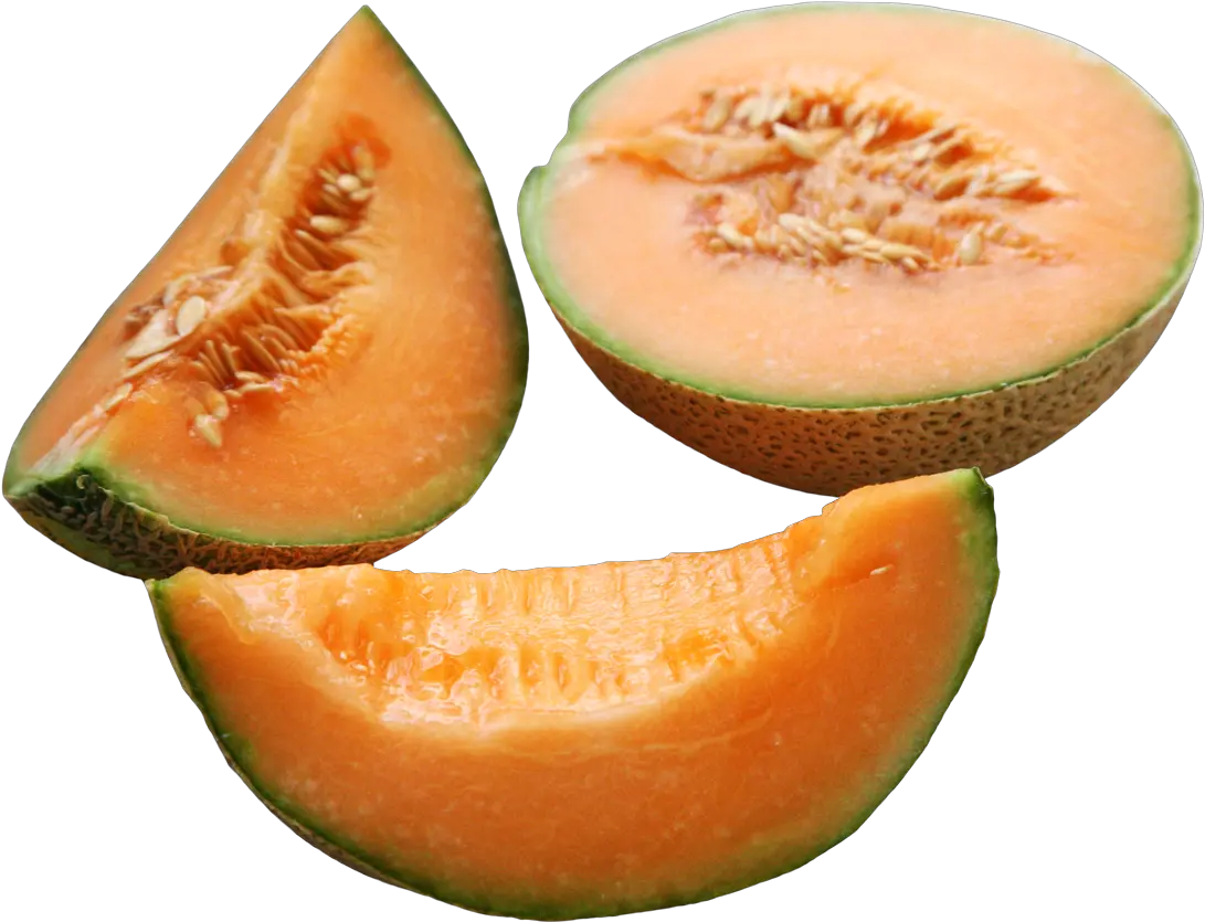 Cantaloupe Melon Png Clipart Sliced Cantaloupe Melon Clipart Honeydew Png