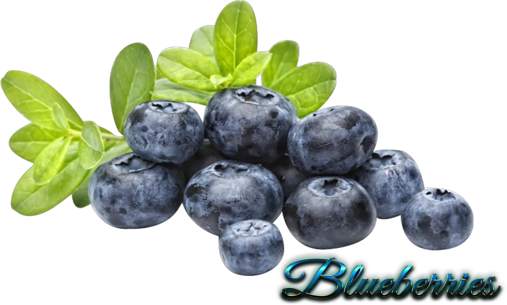 Full Size Png Image Blueberry Png Blueberry Transparent Background